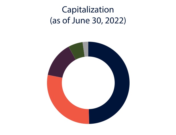 chart-d8955d9f7e9d4261888.jpg